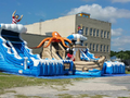 Treasure Island Interactive Park  22' and 20'  Bounce House Waterslide WET or DRY