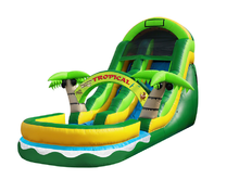 Coconut Palm Slide  19' Bounce House Waterslide WET or DRY, Roo's Wet or Dry Slides - Jacksonville Florida Bounce House Rentals