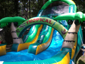 Coconut Palm Slide  19' Bounce House Waterslide WET or DRY