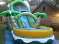Coconut Palm Slide  19' Bounce House Waterslide WET or DRY